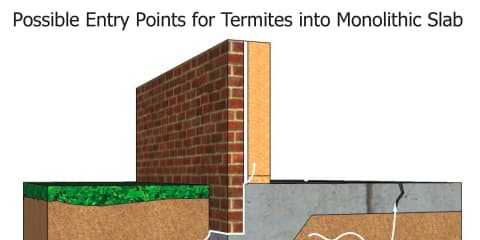 Termite Entry Into a Monolithic Slab
