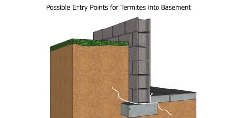 Termite Entry Into Basement