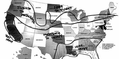 Termite Map of United States
