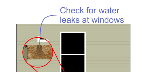 Window Leaks