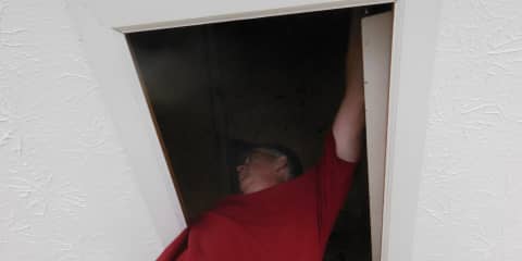 Attic Inspection