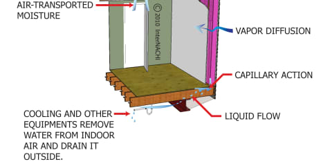 Moisture Movement