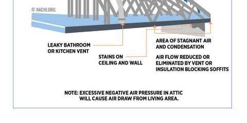 Optimum Conditions for Mold Growth in Attic