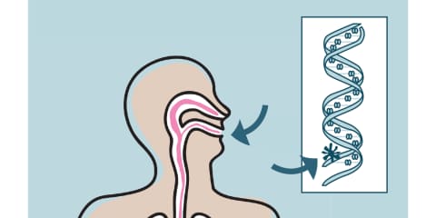 Genetic Damage Caused by Radon