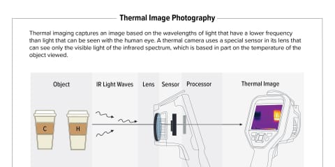 Thermal Image Photography