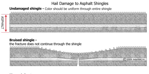 Hail Damage to Asphalt Shingles