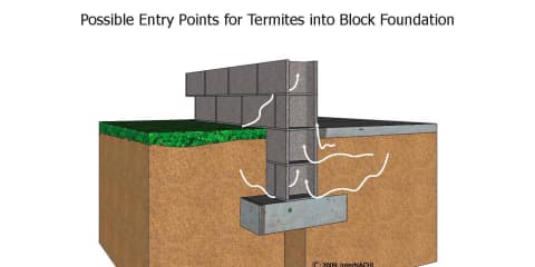 Termite Entry into a Block Foundation