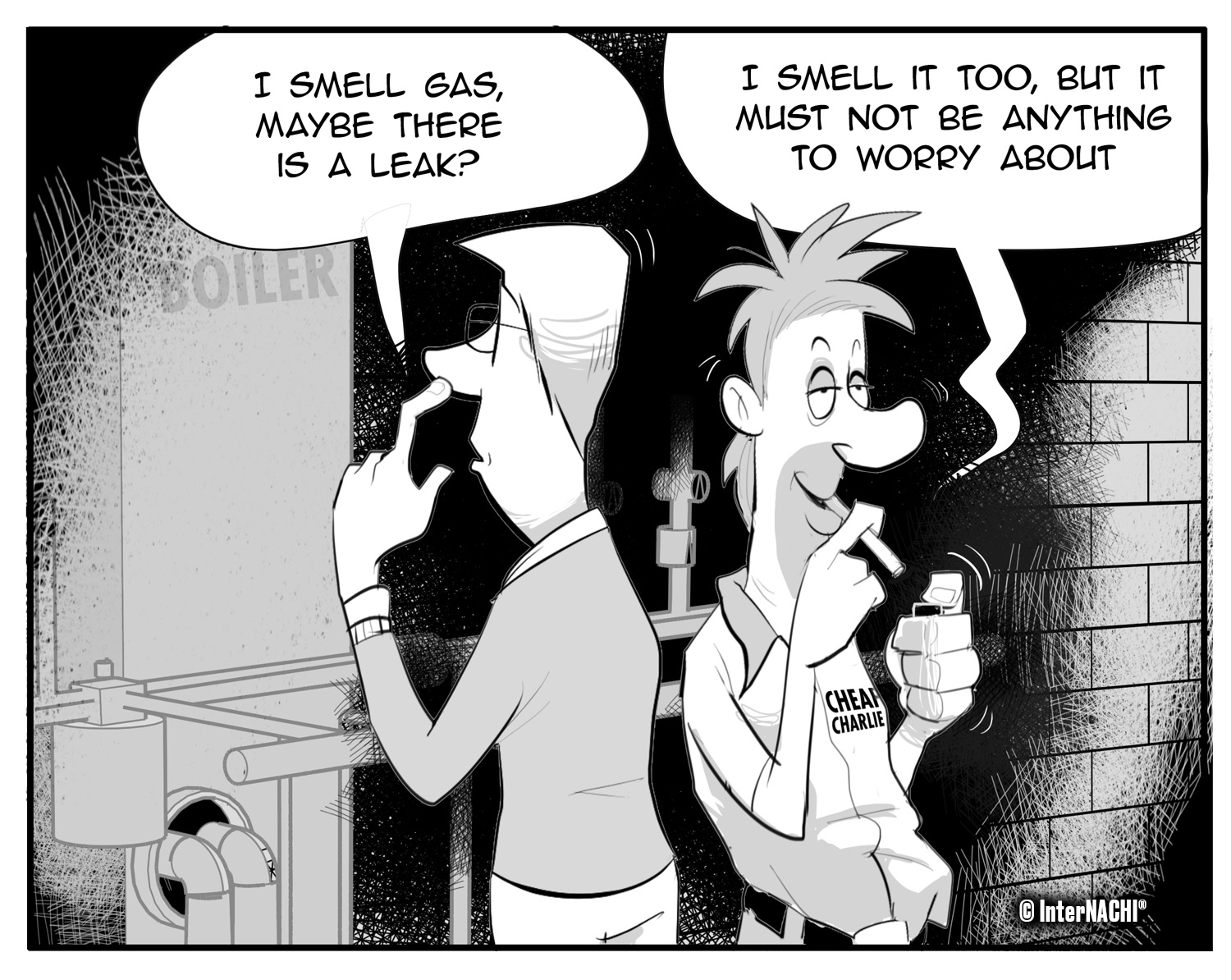 Basement Inspection Cartoon