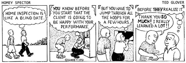 Home Inspection Is Like a Blind Date Cartoon