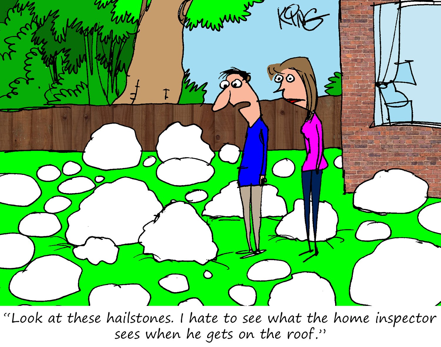 Timing of the Hail Storm Cartoon