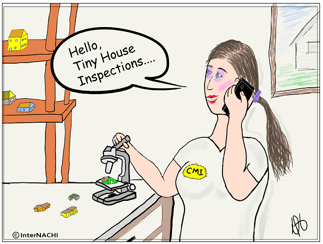 Tiny House Inspection Cartoon
