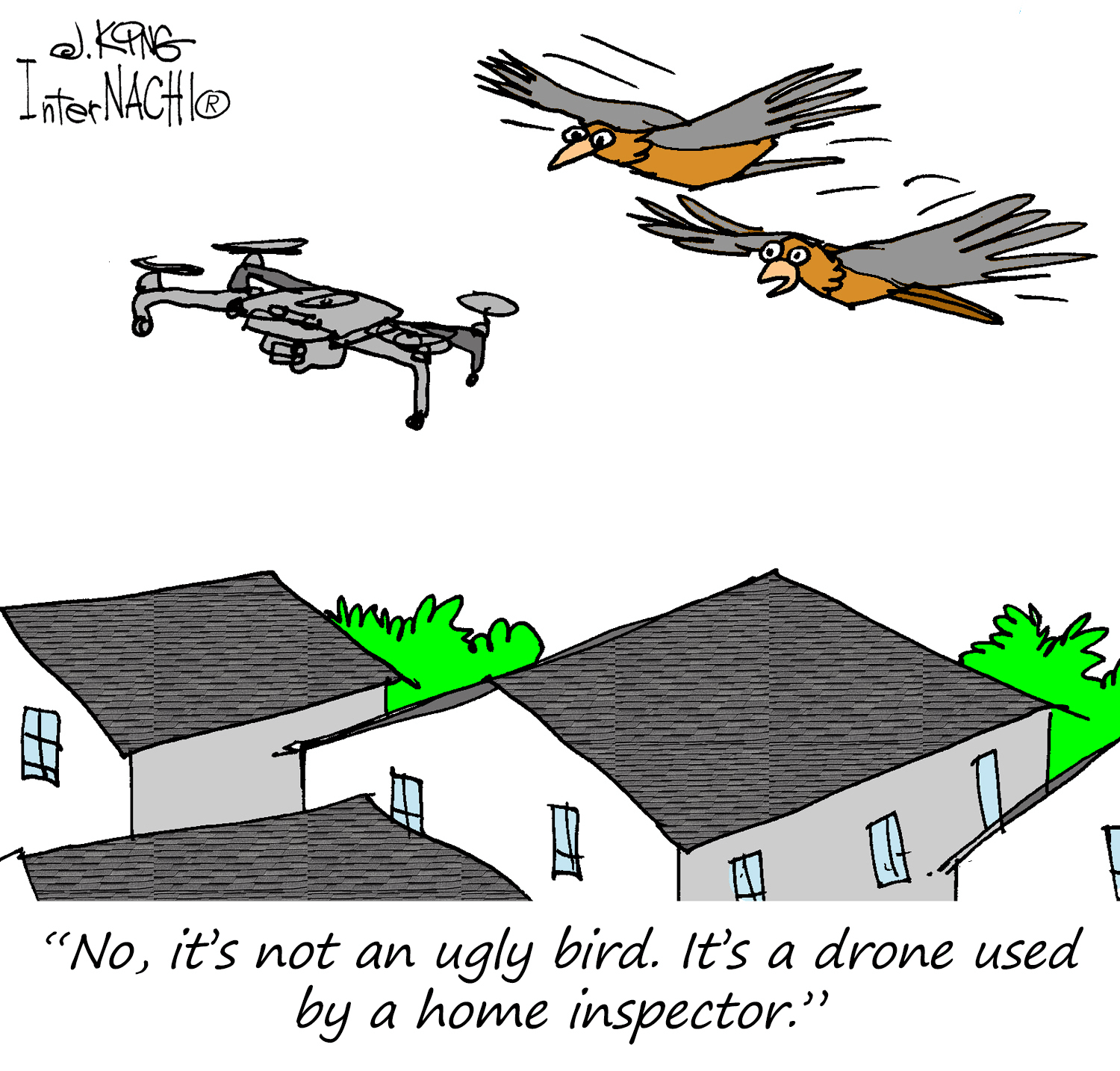 Ugly bird.