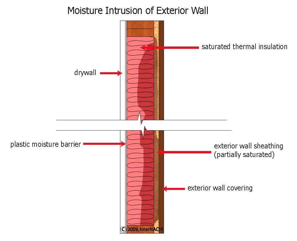 Moisture intrusion of an exterior wall.