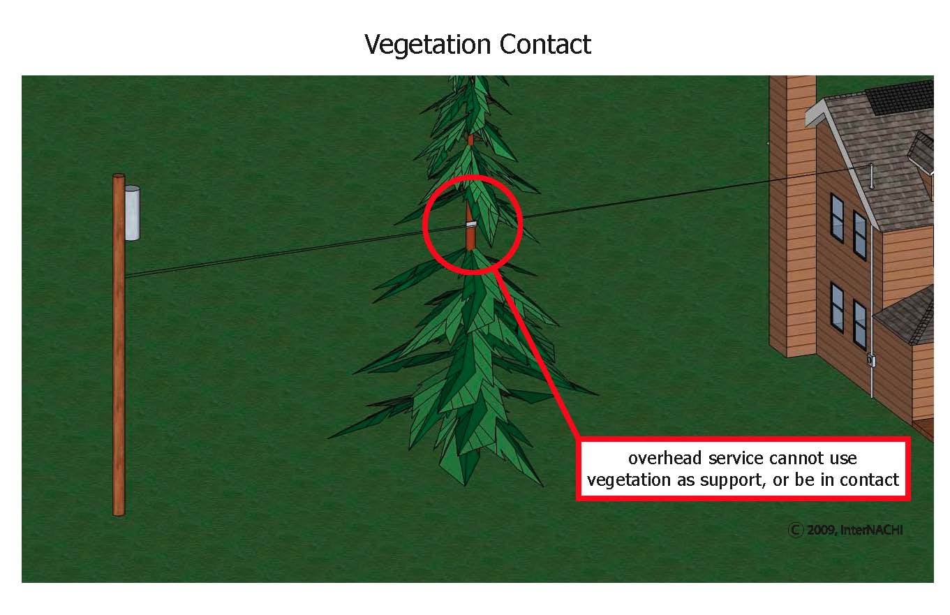 Vegetation should not contact or support electrical lines.