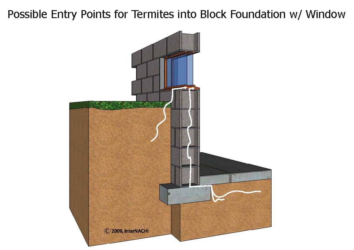 Termite entry through window in block foundation.