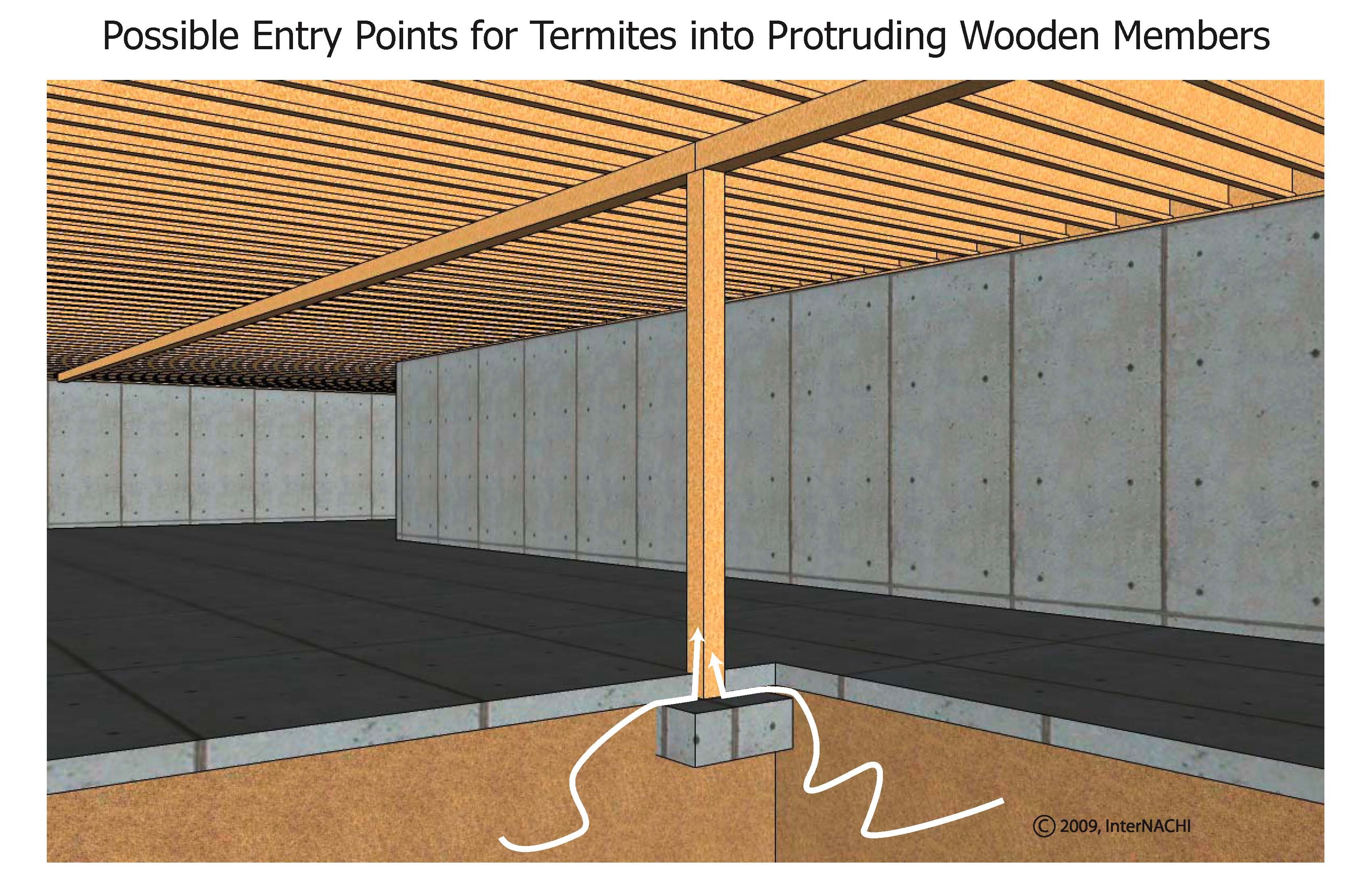 Termite entry through a post.