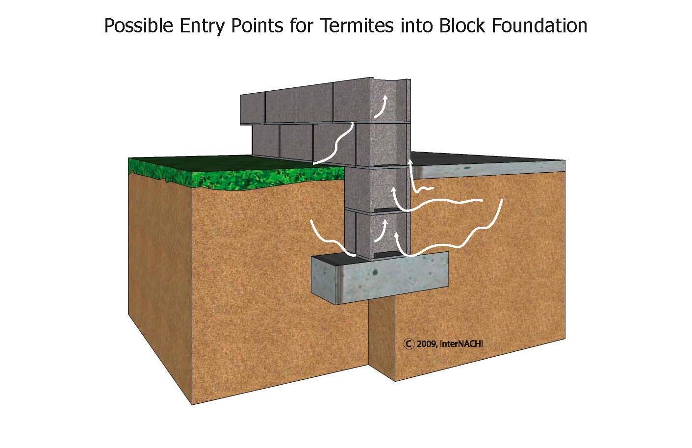 Termite entry into a block foundation.