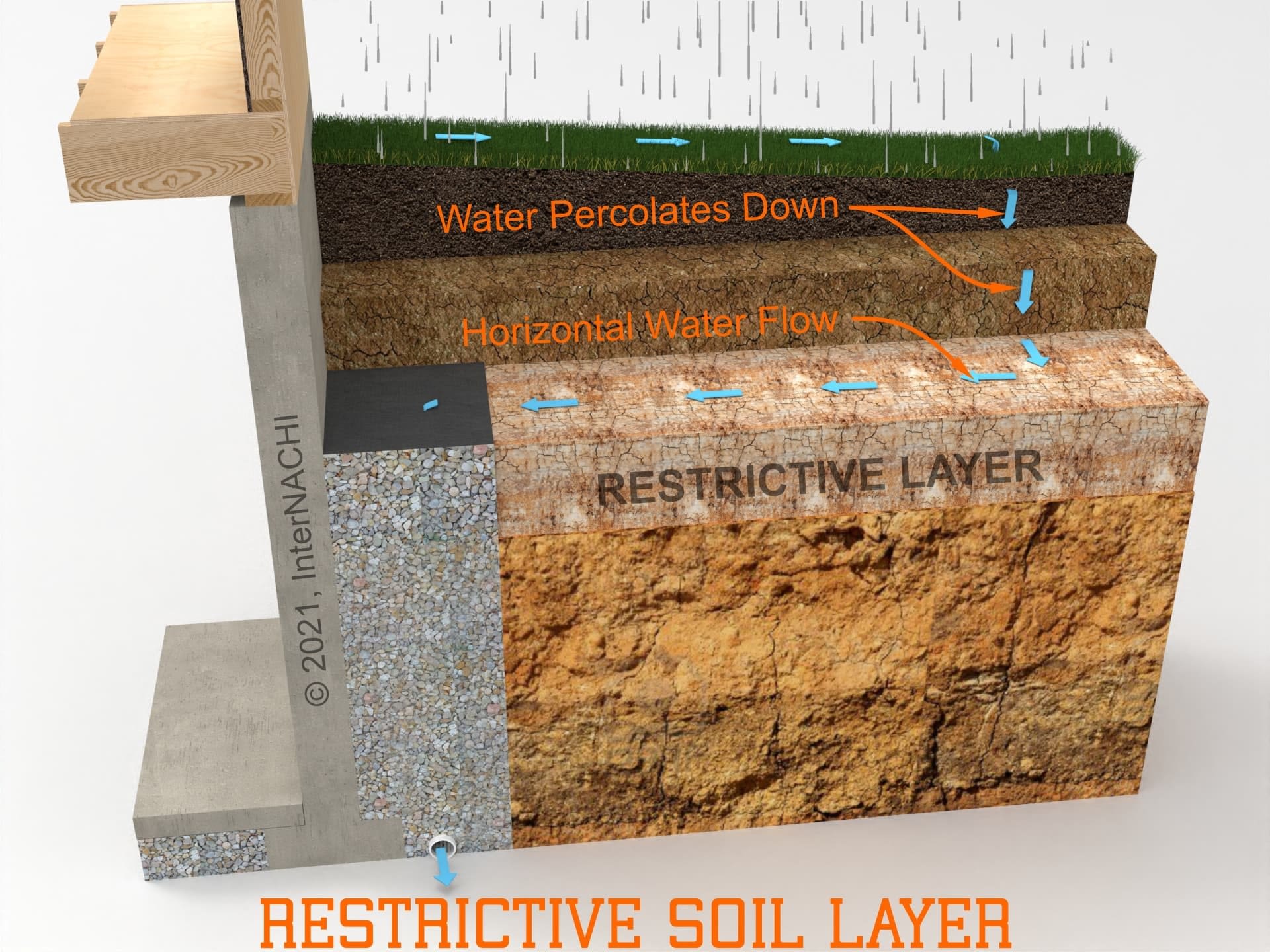 Restrictive soil layer.