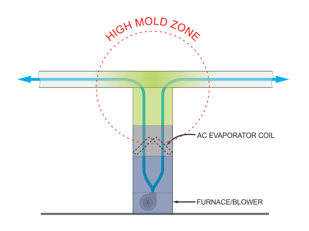 High mold zone.