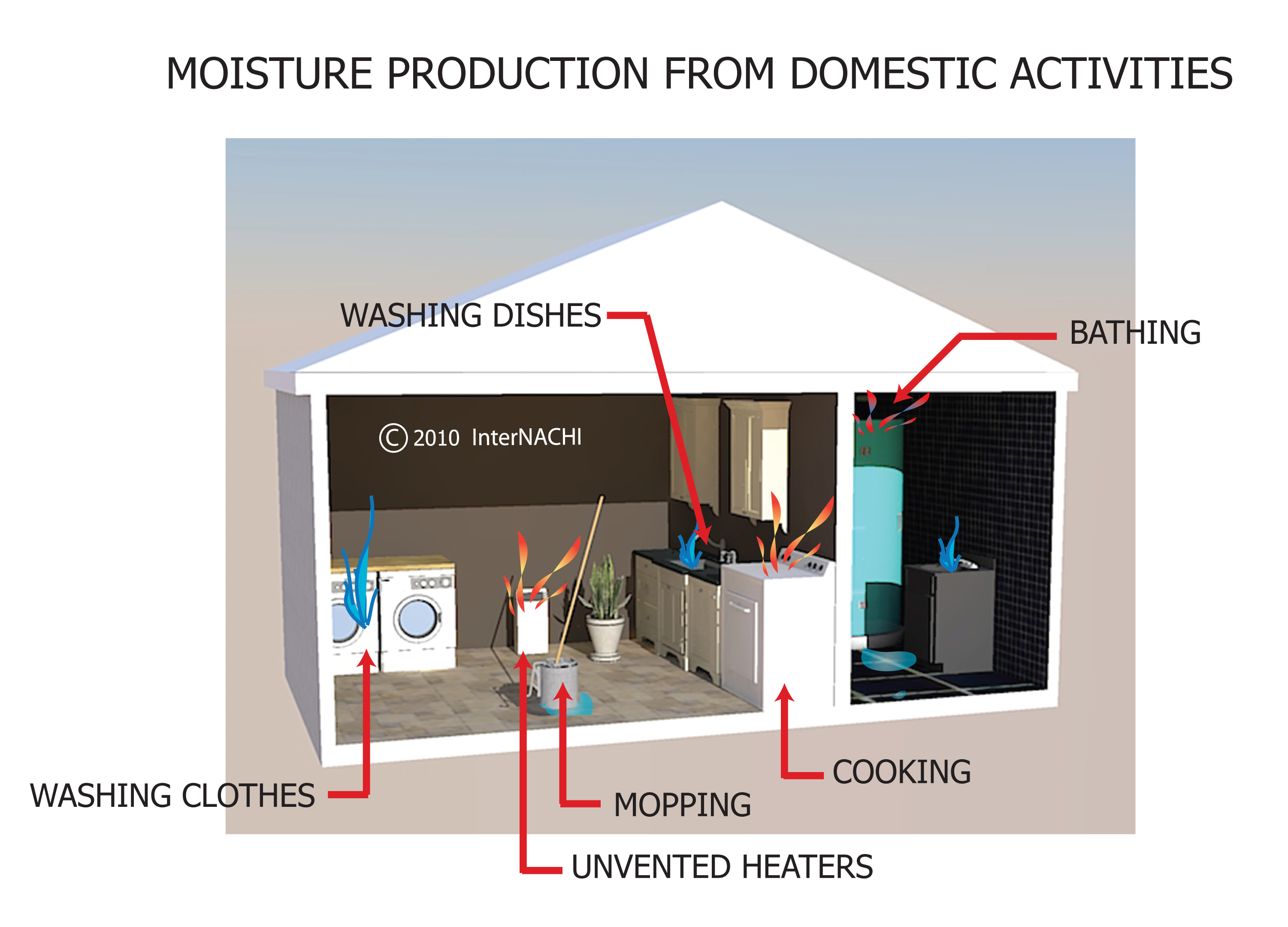 Moisture production from domestic activities.