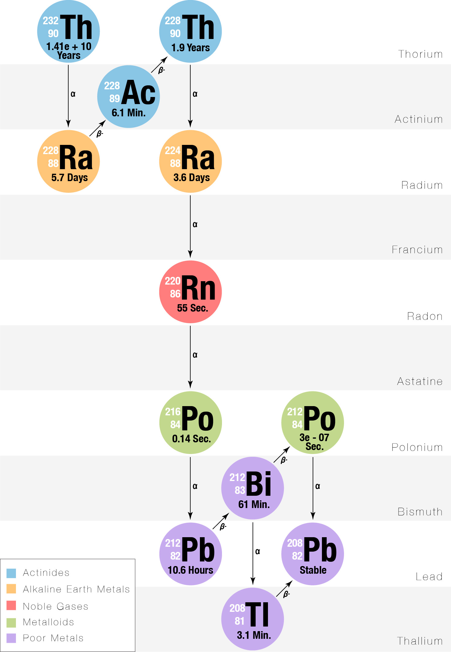 Th-232 is commonly called the "thorium series." Beginning with naturally occurring thorium-232, this series includes the following elements: actinium, bismuth, lead, polonium, radium, and radon. All are present, at least transiently, in any natural thorium-containing sample, whether metal, compound, or mineral. The series terminates with lead-208.