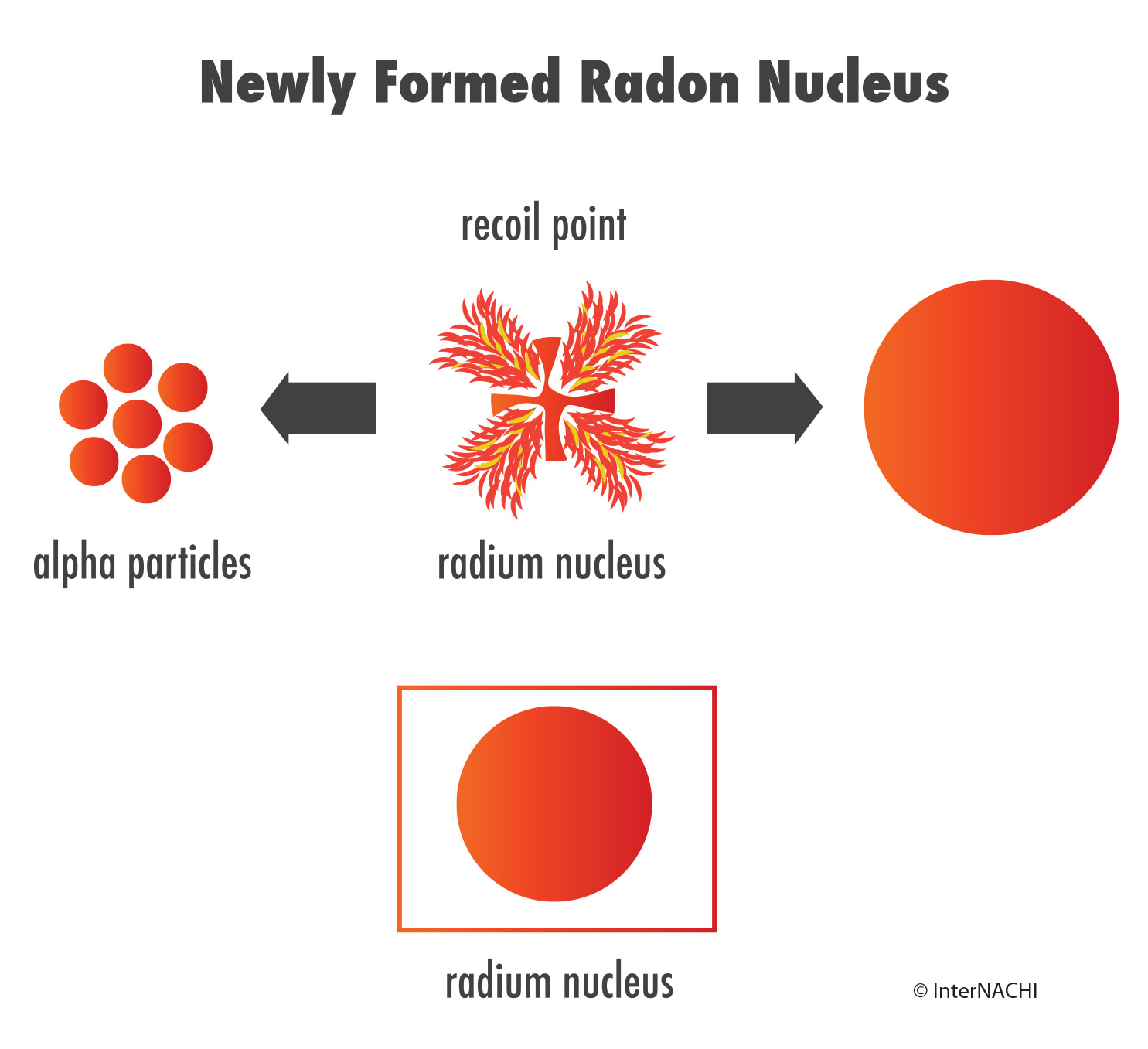 Newly formed radon nucleus.