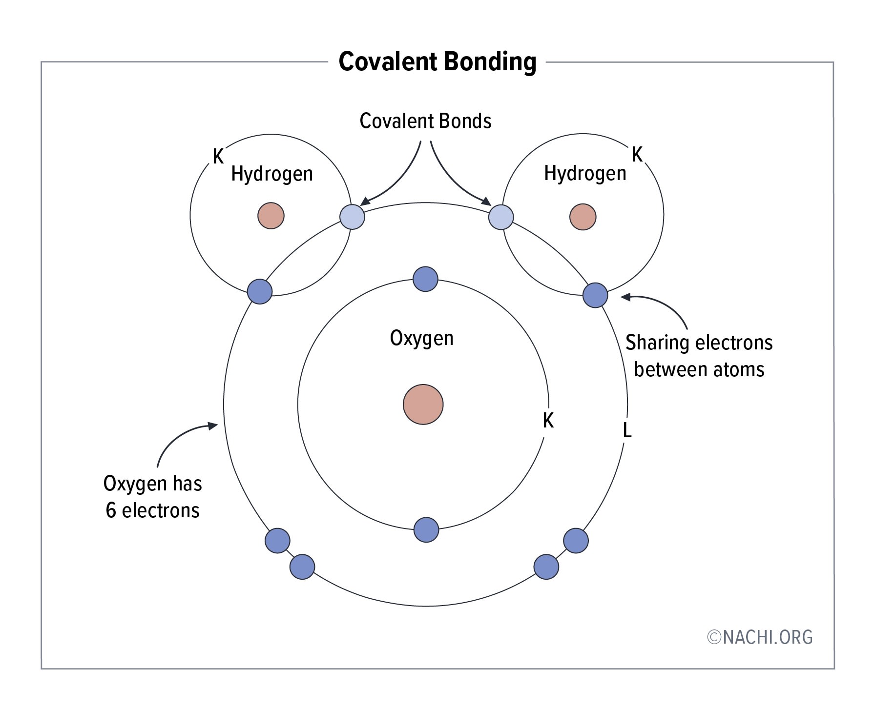 Covalent Bonds: Hydrogen, Sharing electrons between atoms, Oxygen has 6 electrons