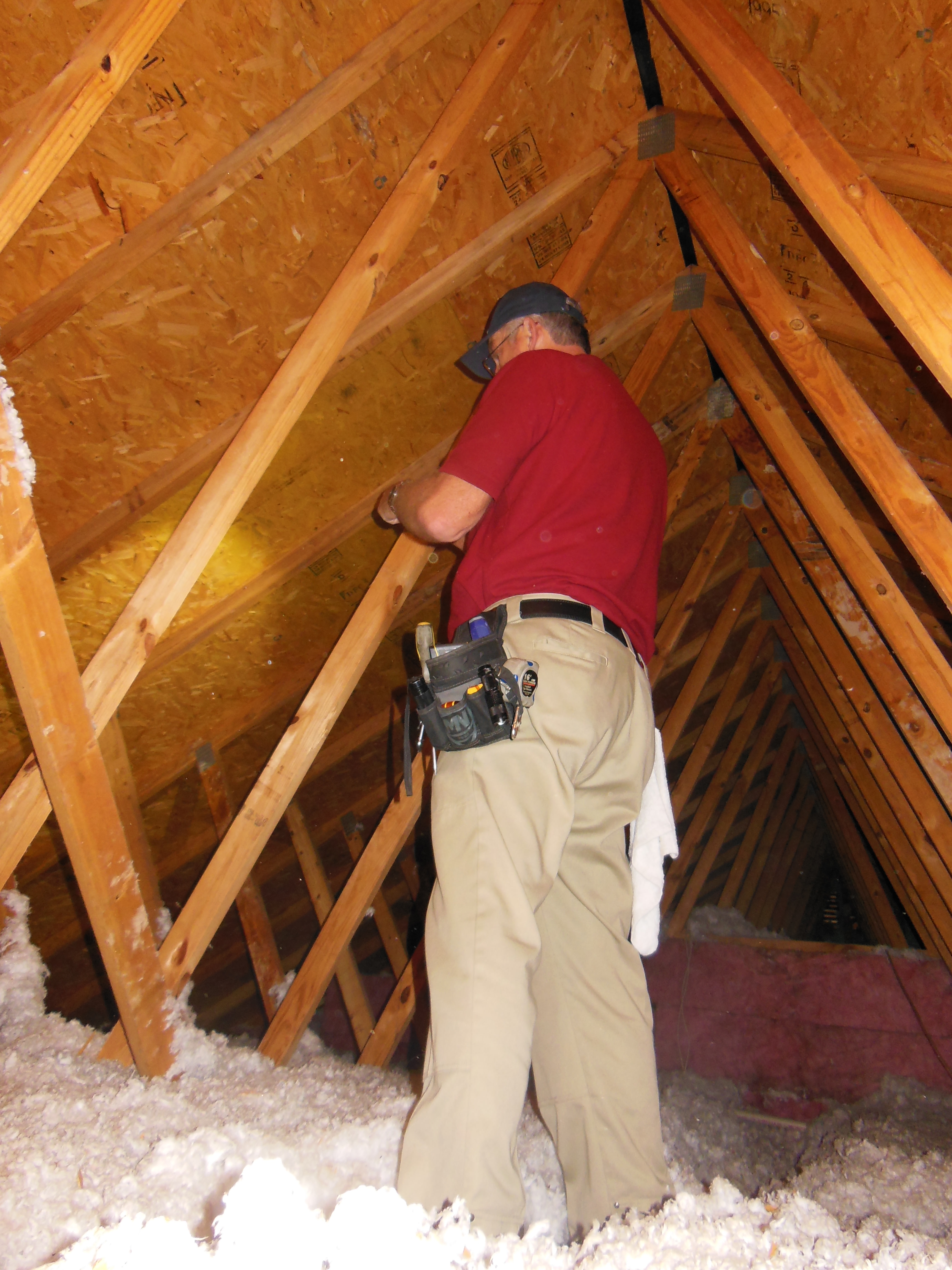 Attic inspection.