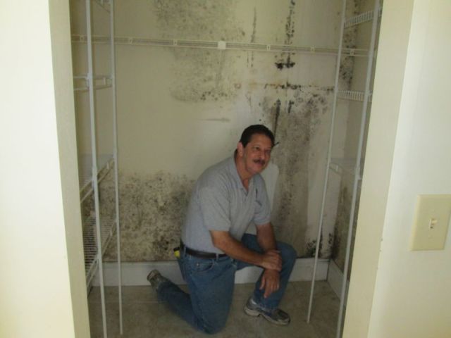 Mold inspector.