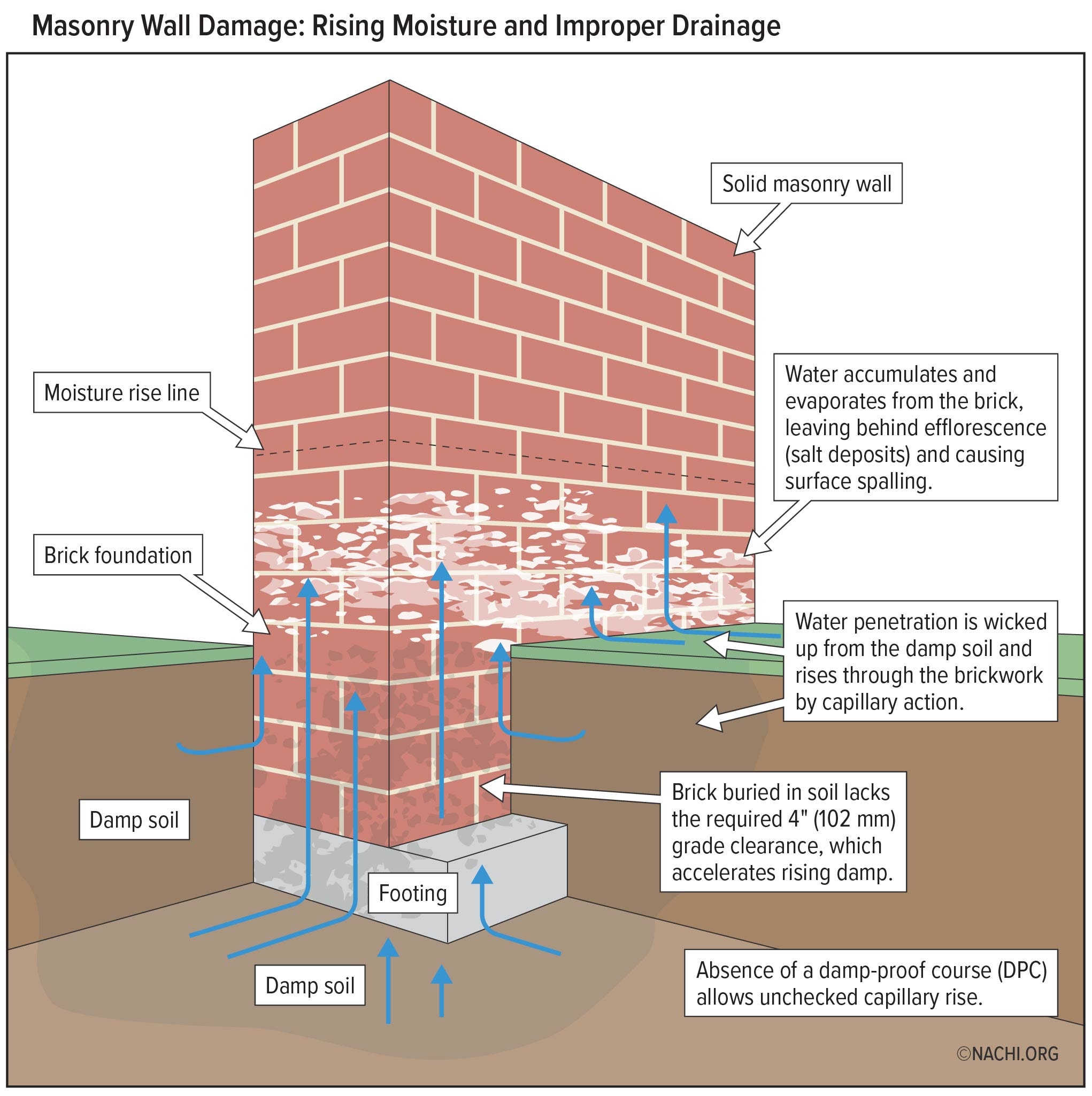Masonry Wall Damage: Rising Moisture and Improper Drainage