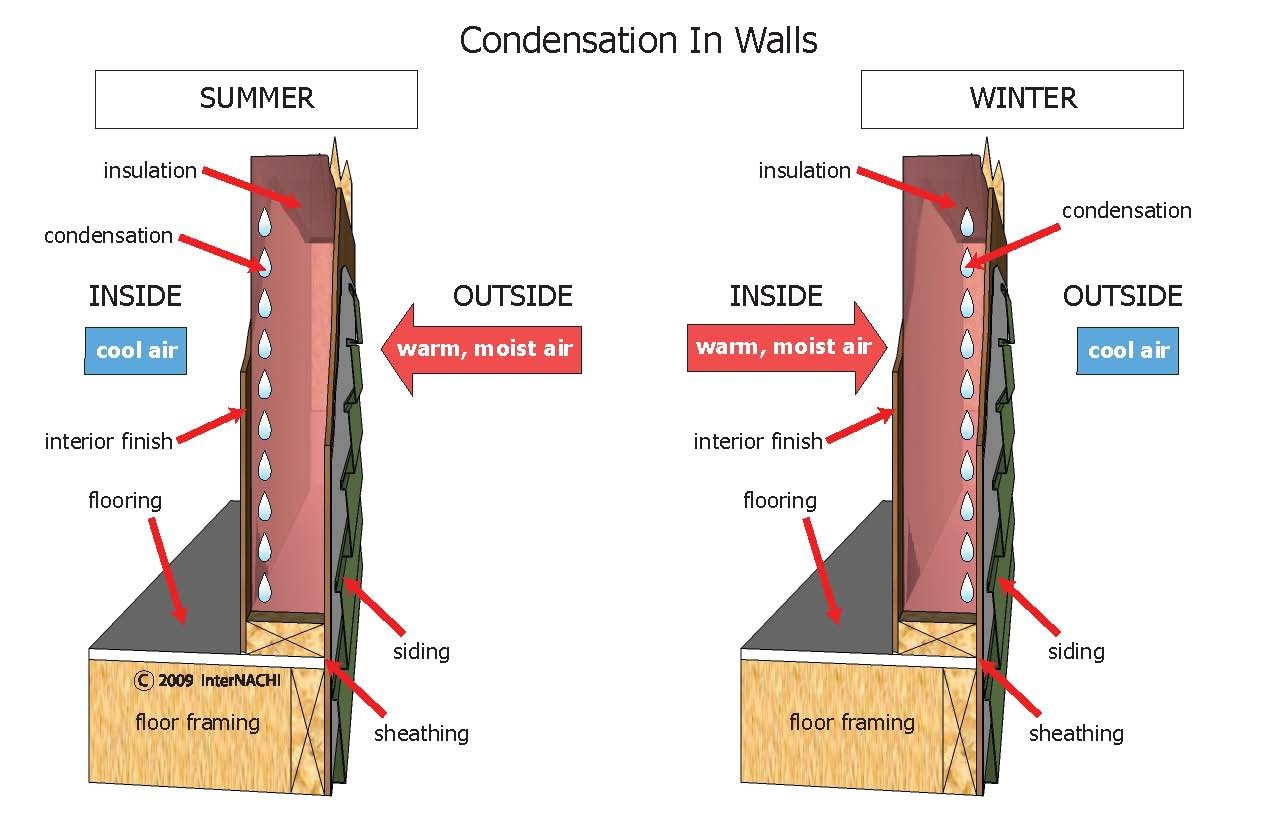 Condensation in walls.