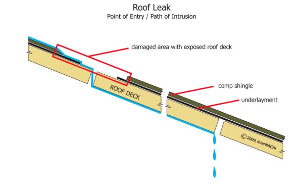 Roof leak path of intrusion.