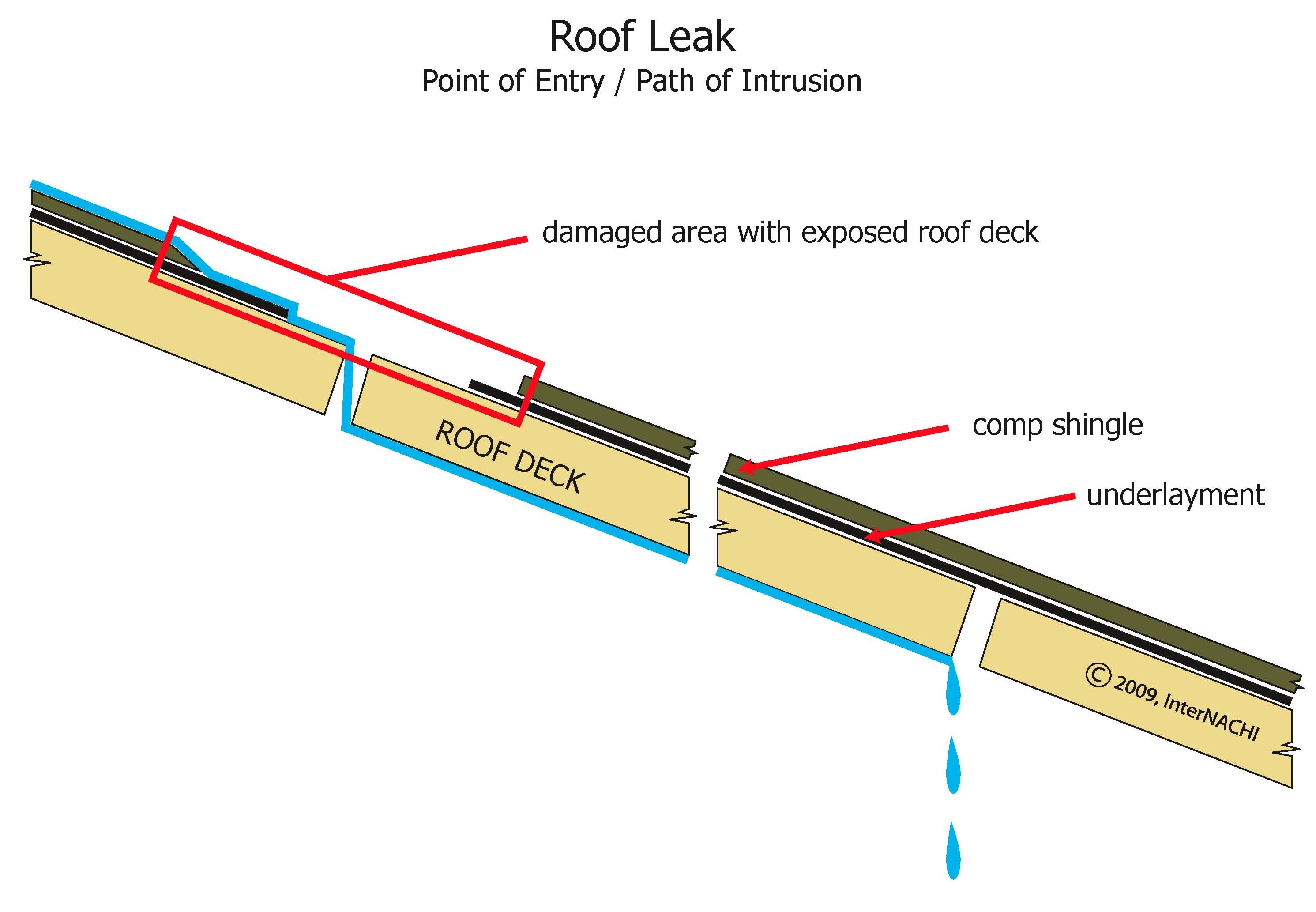 Roof leak path of intrusion.