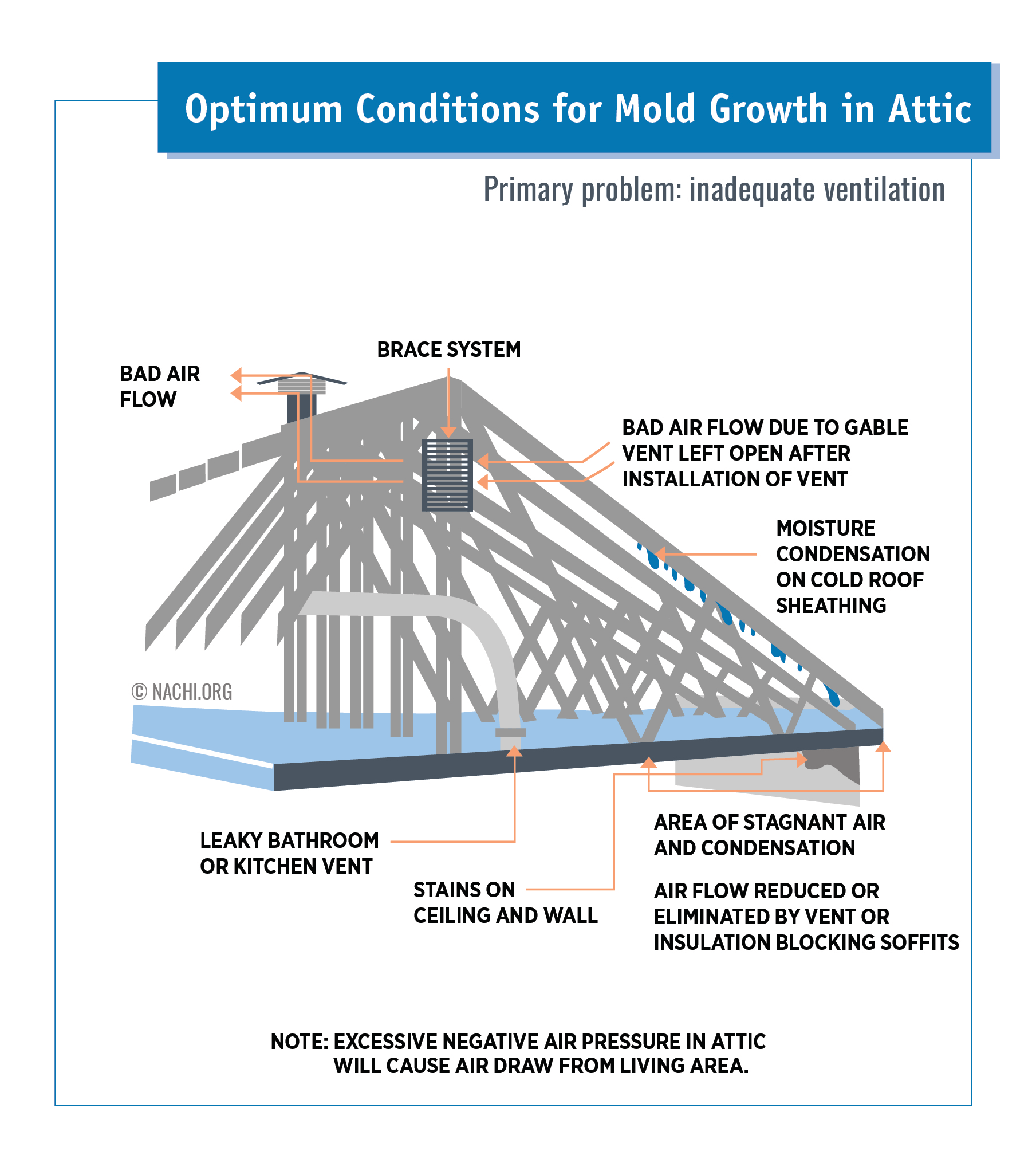 Optimum Conditions for Mold Growth in Attic.