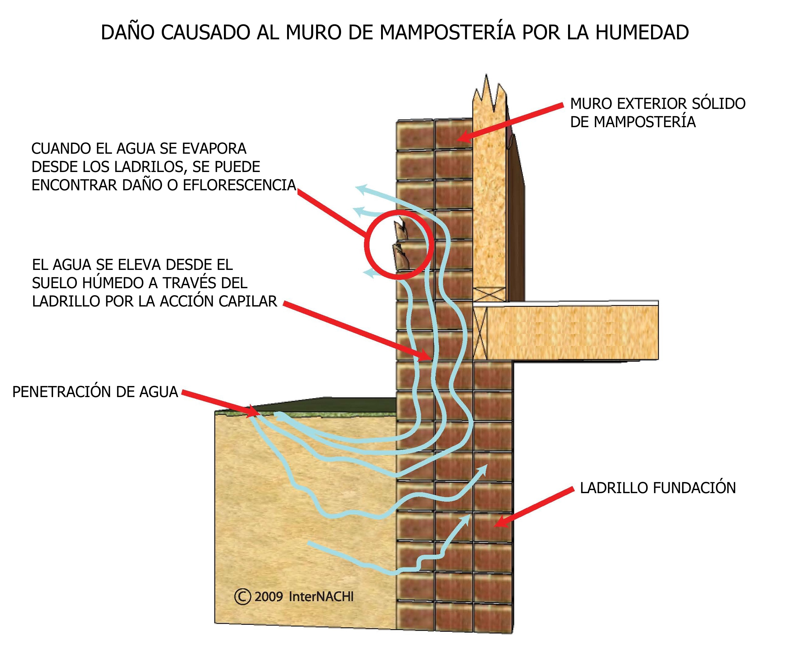 Damage to Masonry Wall Caused by Moisture Inspection Gallery