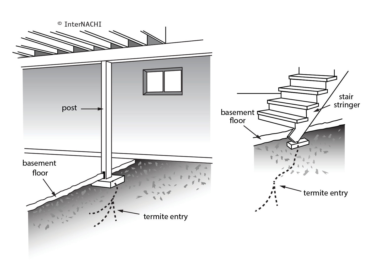 Basement termite entry.