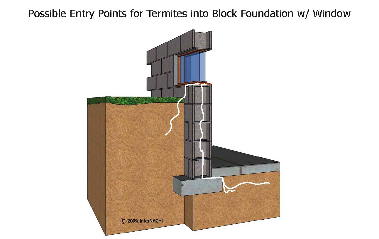 Termite Entry Through Window in Block Foundation