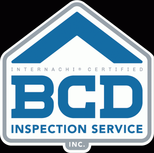 BPG Inspections Logo