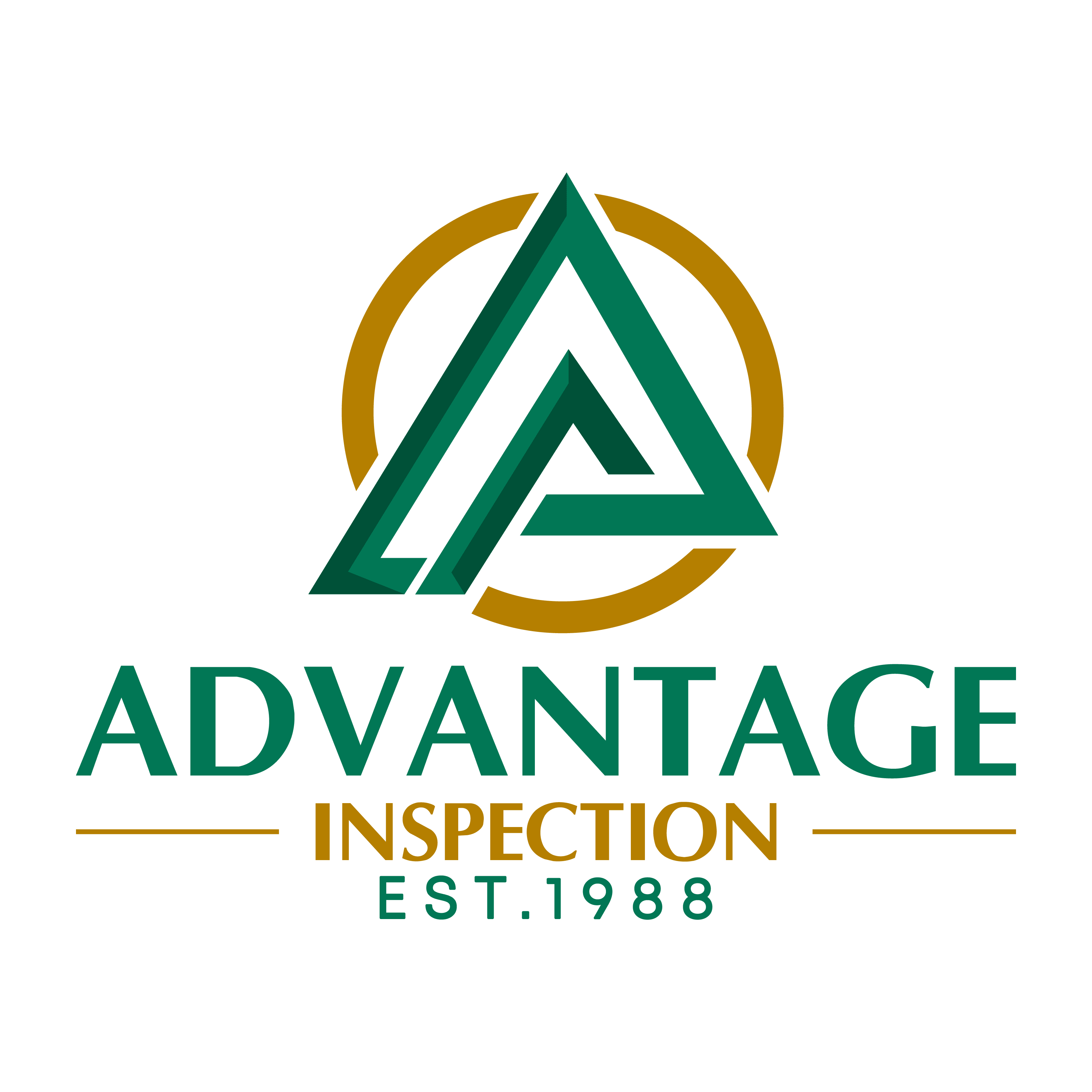 Advantage Inspection Logo