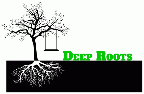 Deep Roots Inspection Services, LLC Logo