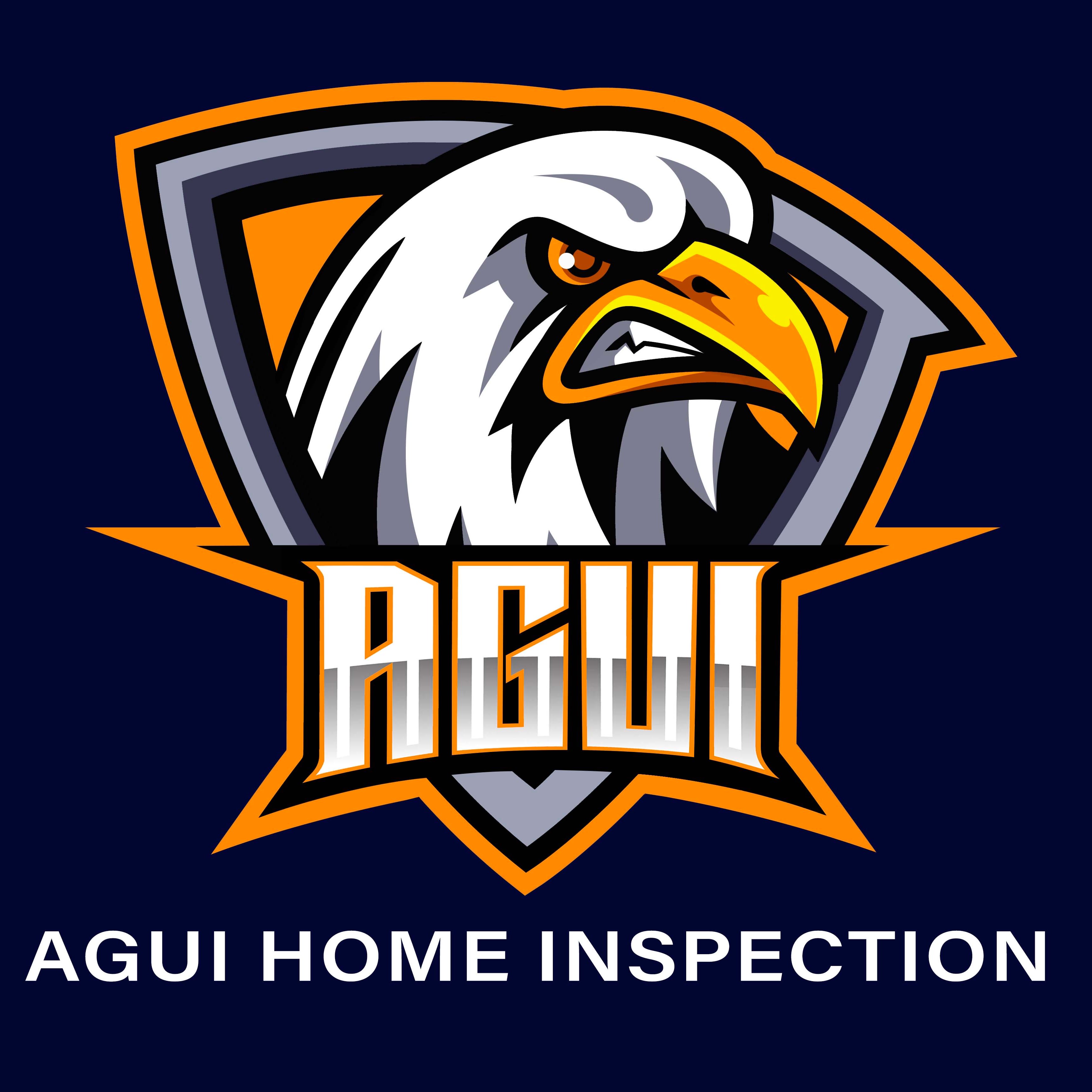 Agui Home Inspection LLC Logo