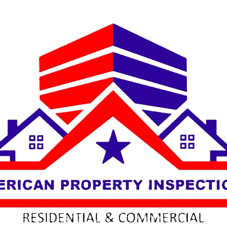 American Property Inspections Logo