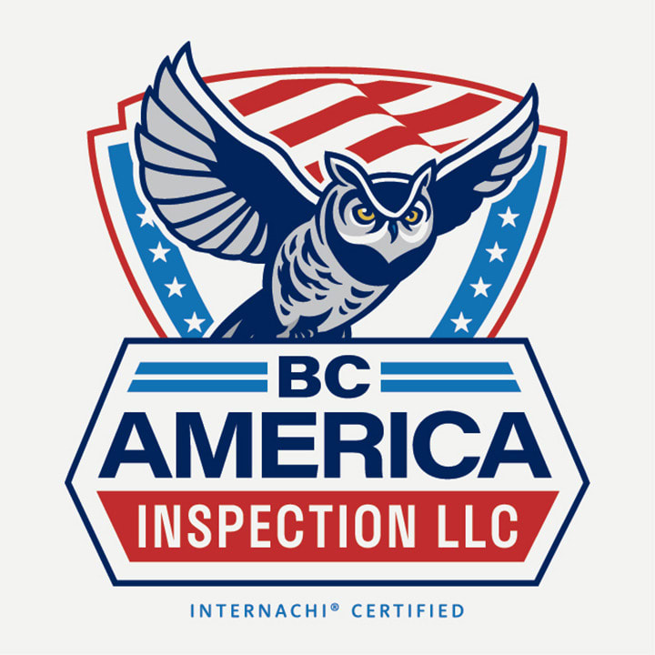 BC America Inspection Logo