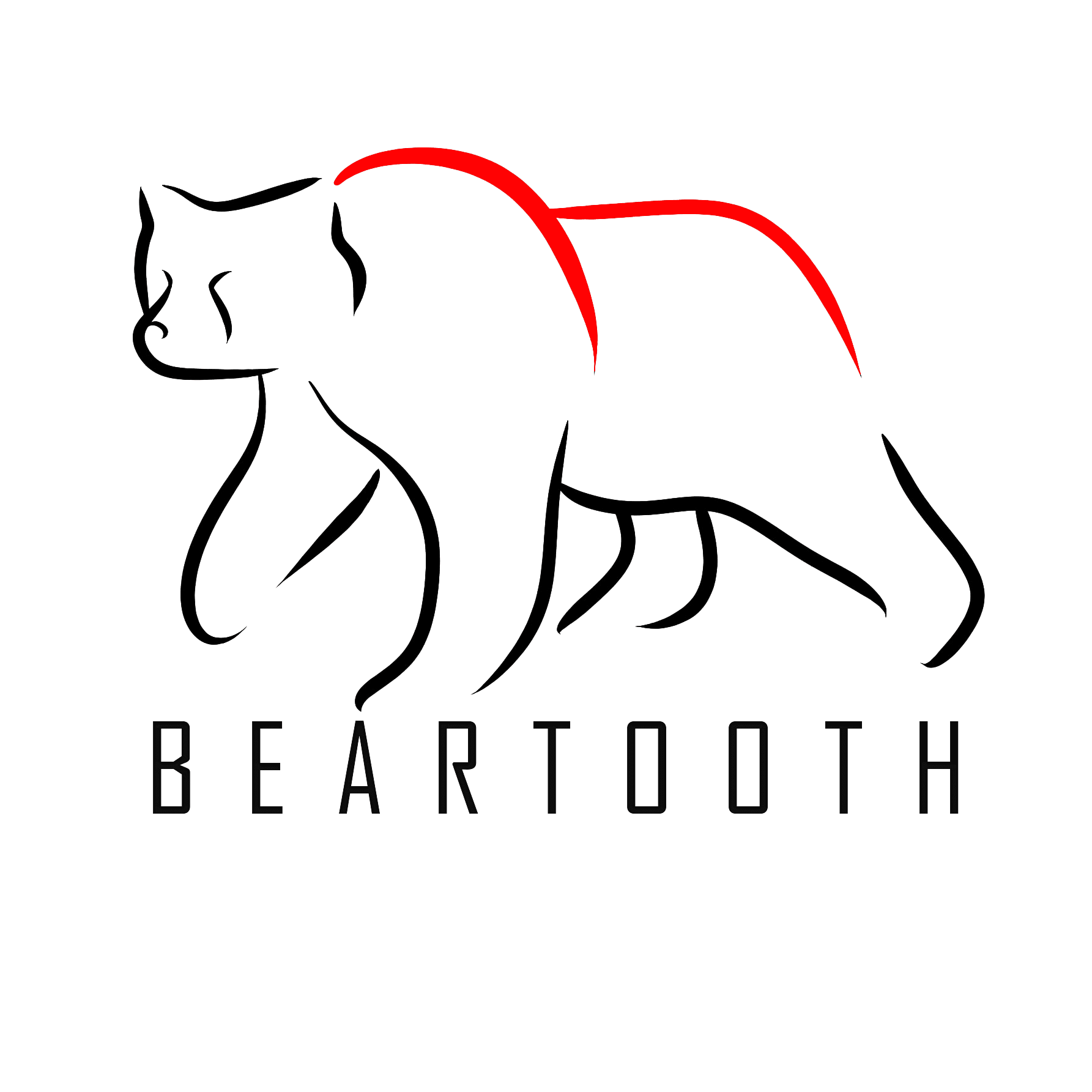Beartooth Inspection Services LLC Logo