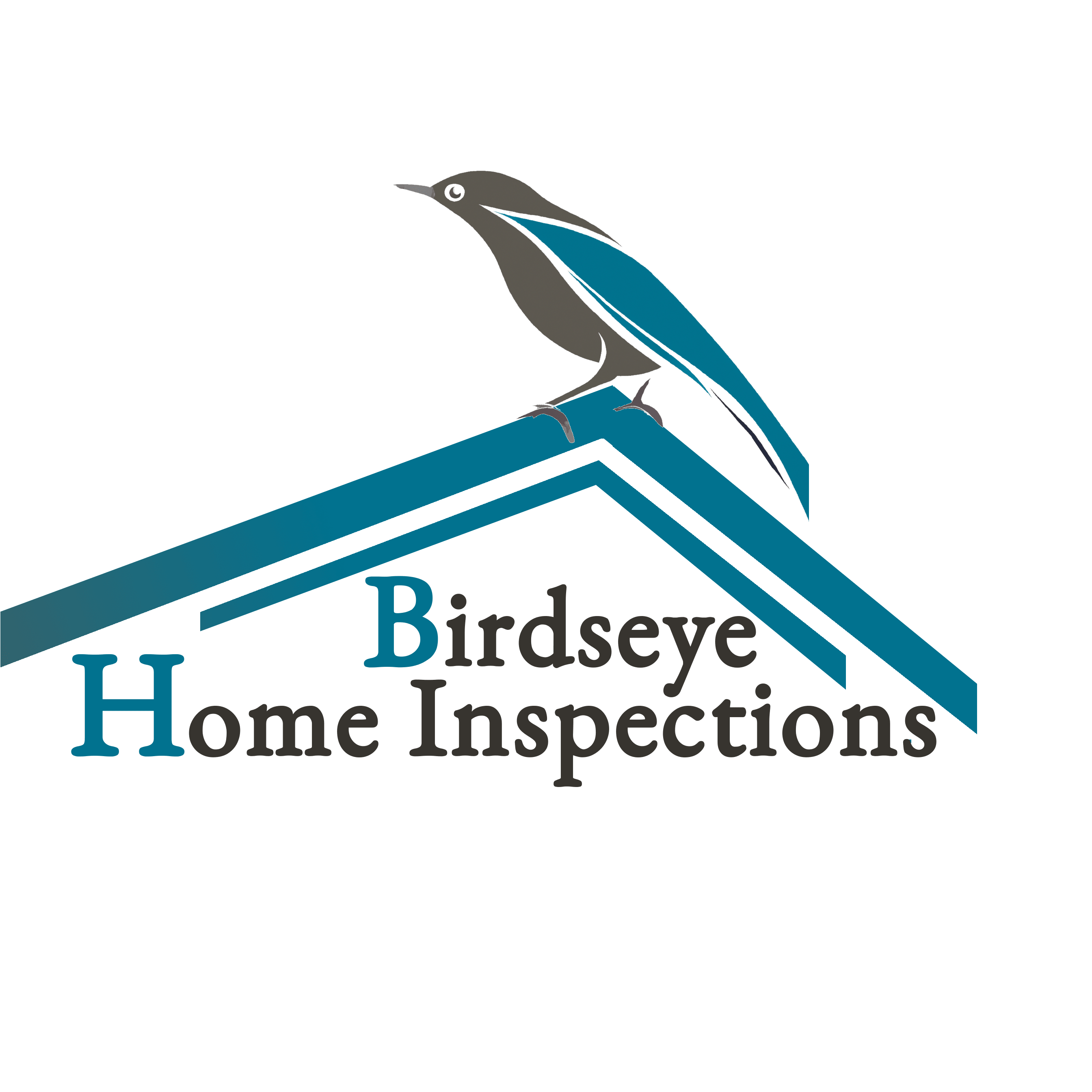 Birdseye Home Inspection Logo