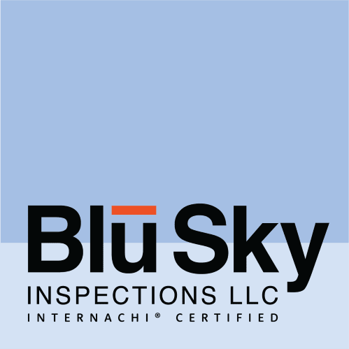 BLU SKY INSPECTIONS, LLC Logo