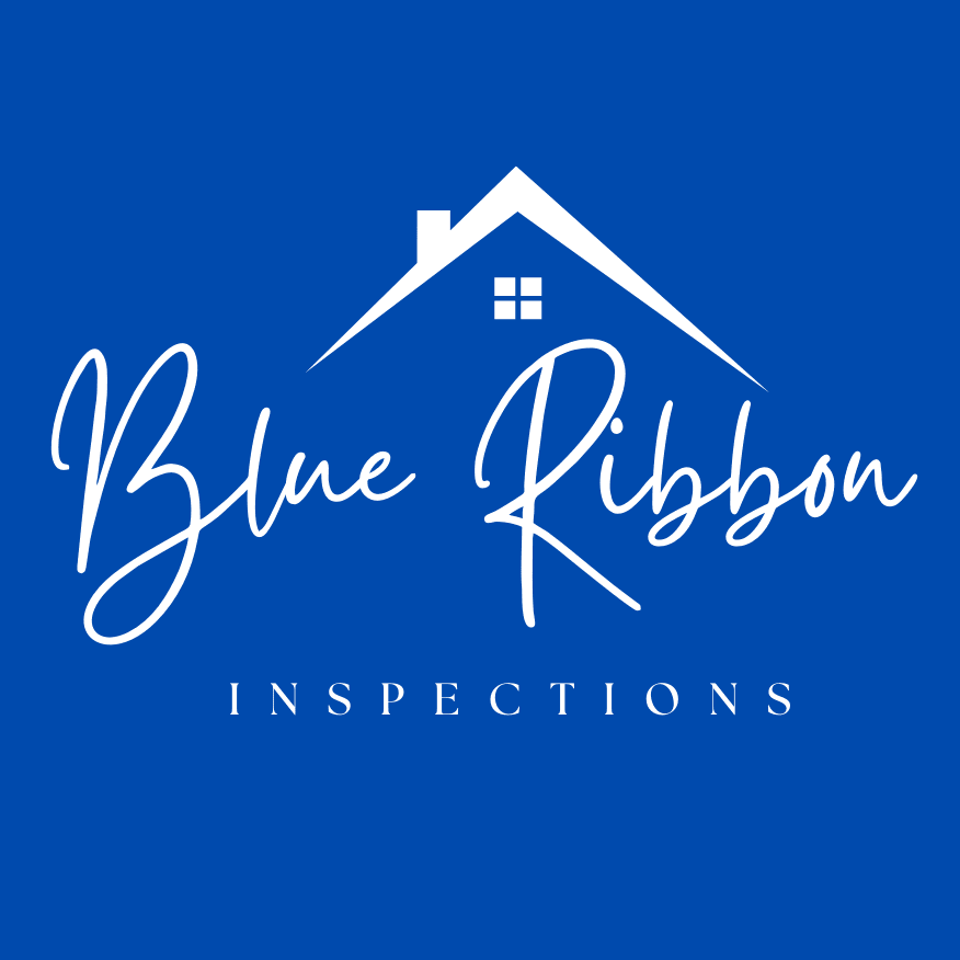 Mobile Home Inspection - Blue Owl Inspections