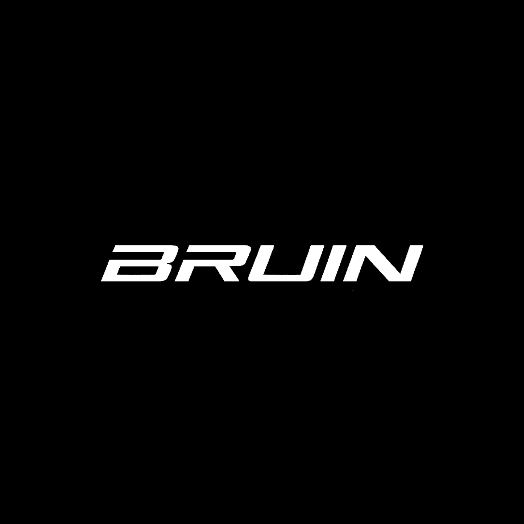 Bruin Inspection Services LLC Logo