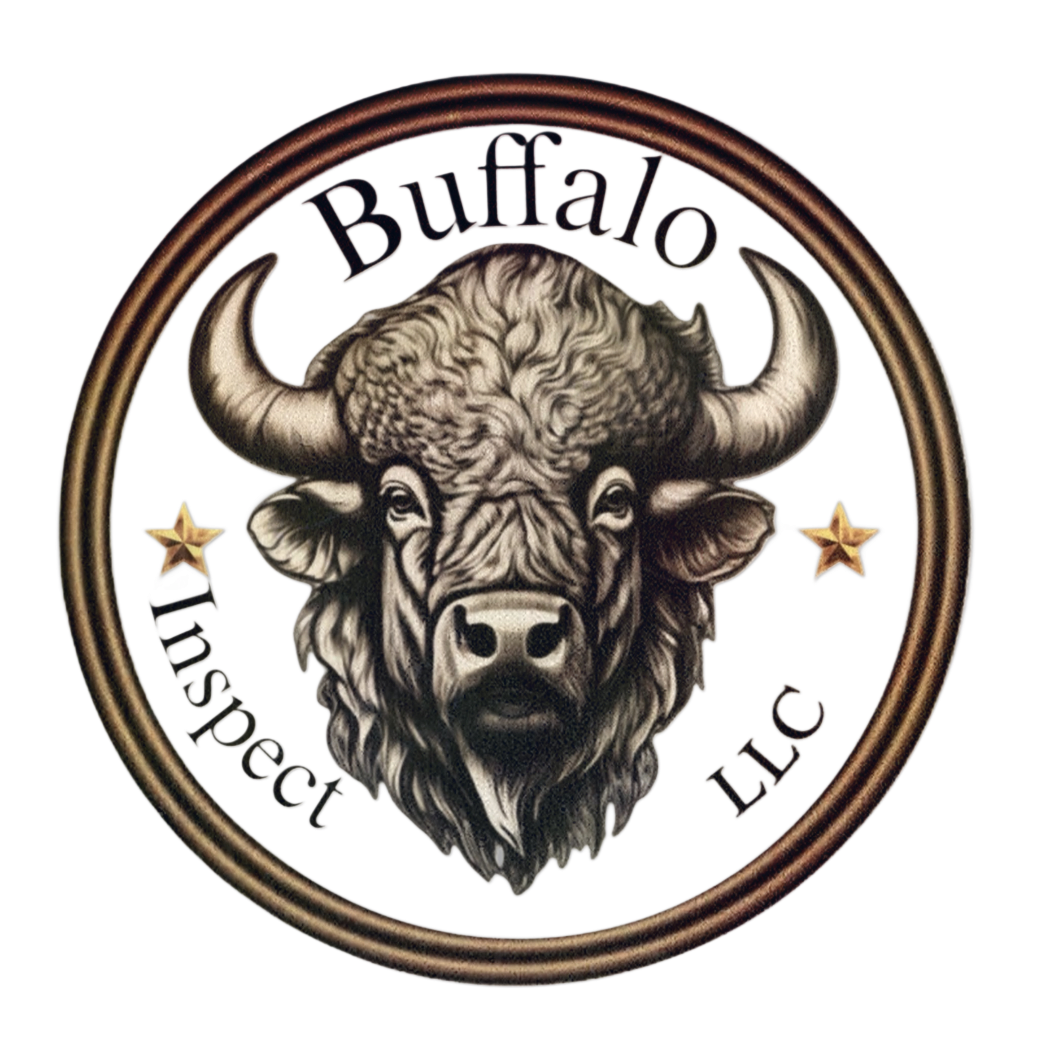 Buffalo Inspect LLC Logo