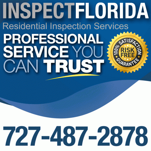 Inspect Florida LLC Logo